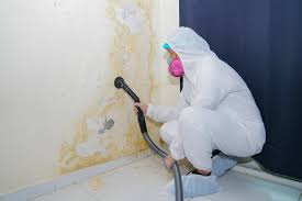 Mold Remediation for Rental Properties in Simmesport, LA